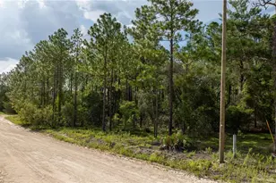 00 NE 49th St, Williston, FL 32696 - Photo 1