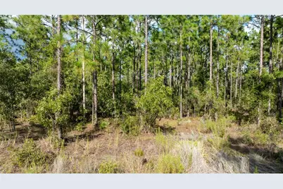 00 NE 49th Street, Williston, FL 32696 - Photo 2