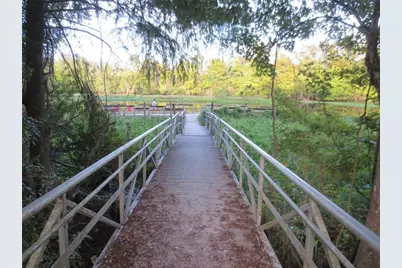 Tbd SE 19th Street, Silver Springs, FL 34488 - Photo 22