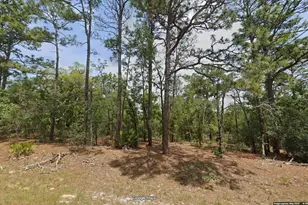 11351 N Kenney Loop, Citrus Springs, FL 34433 - Photo 1
