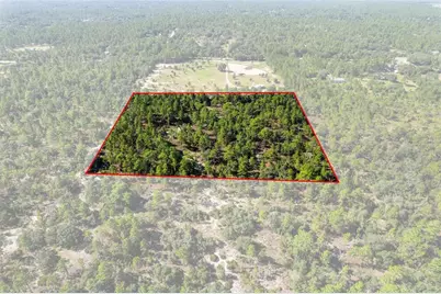 10686 N Statue Point, Dunnellon, FL 34433 - Photo 10
