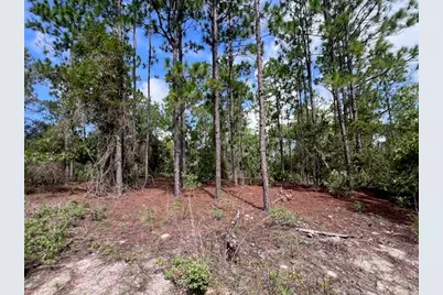 10686 N Statue Point, Dunnellon, FL 34433 - Photo 16