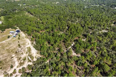 10686 N Statue Point, Dunnellon, FL 34433 - Photo 2