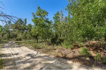 10686 N Statue Point, Dunnellon, FL 34433 - Photo 14
