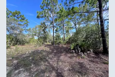 10686 N Statue Point, Dunnellon, FL 34433 - Photo 20