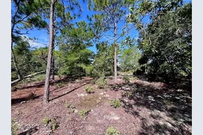 10686 N Statue Point, Dunnellon, FL 34433 - Photo 22