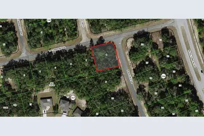 1230 W Lorraine Drive, Citrus Springs, FL 34434 - Photo 2
