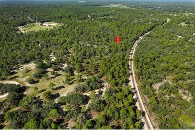 10806 N Statue Point, Dunnellon, FL 34433 - Photo 2
