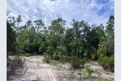 10806 N Statue Point, Dunnellon, FL 34433 - Photo 16