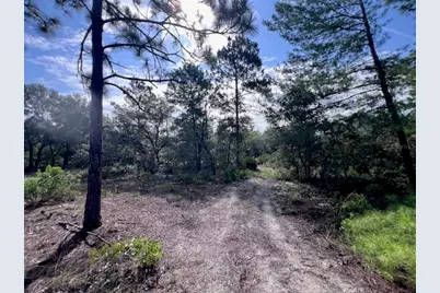 10806 N Statue Point, Dunnellon, FL 34433 - Photo 18
