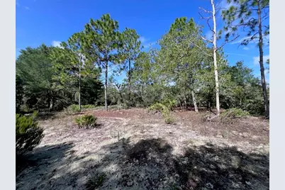 10806 N Statue Point, Dunnellon, FL 34433 - Photo 20