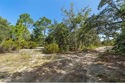 10806 N Statue Point, Dunnellon, FL 34433 - Photo 12