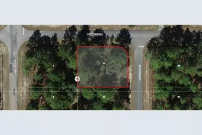 6564 N Shafton Terrace, Citrus Springs, FL 34433 - Photo 4