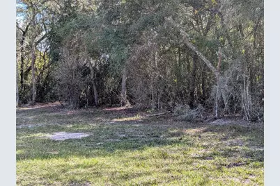 4114 E Camp Izzard Place, Dunnellon, FL 34434 - Photo 2