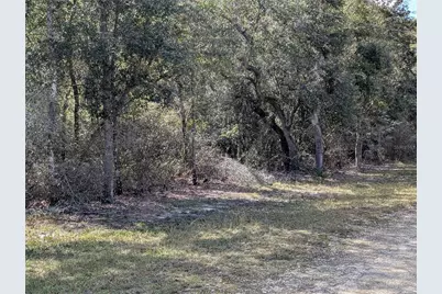4114 E Camp Izzard Place, Dunnellon, FL 34434 - Photo 6