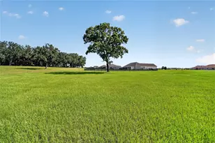 1971 NW 86th Pl, Ocala, FL 34475 - Photo 50