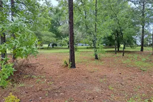 2692 W Hamlet Pl, Dunnellon, FL 34433 - Photo 6