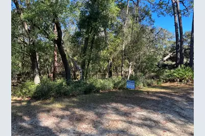 North Road, Altoona, FL 32702 - Photo 4