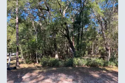 North Road, Altoona, FL 32702 - Photo 6