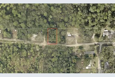 North Road, Altoona, FL 32702 - Photo 1