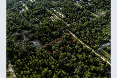 Tbd NE 50th Lane, Williston, FL 32696 - Photo 12