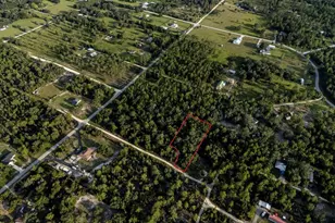 Tbd NE 50th Ln, Williston, FL 32696 - Photo 1