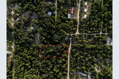 Tbd NE 50th Lane, Williston, FL 32696 - Photo 8