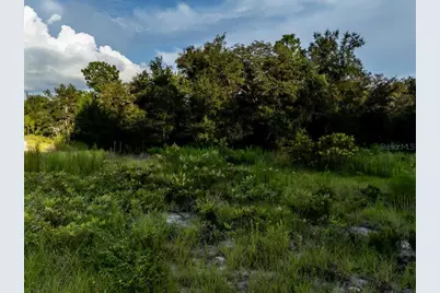 Tbd NE 50th Lane, Williston, FL 32696 - Photo 4