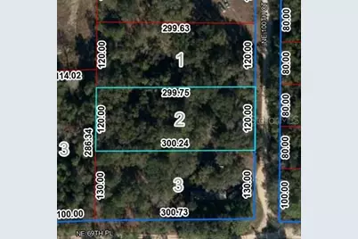 Lot 2 NE 100th Court, Bronson, FL 32621 - Photo 2