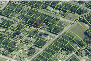 2237 W Winter Pl, Citrus Springs, FL 34434 - Photo 1