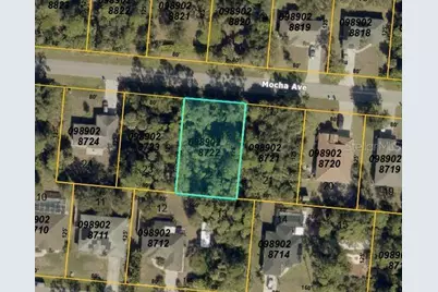 Mocha Avenue, North Port, FL 34287 - Photo 1