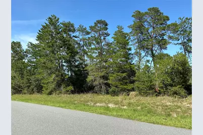 12995 SW 35th Avenue Road, Ocala, FL 34473 - Photo 2