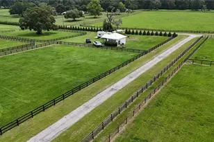 13489 NW Gainesville Rd, Reddick, FL 32686 - Photo 14