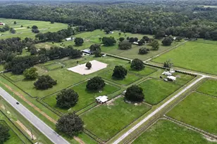 13489 NW Gainesville Rd, Reddick, FL 32686 - Photo 4