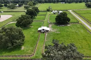 13489 NW Gainesville Rd, Reddick, FL 32686 - Photo 12