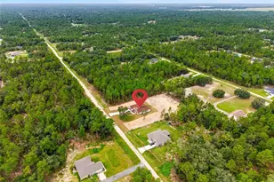 8396 SW 125th Ct Rd, Dunnellon, FL 34432 - Photo 42