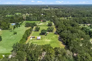 2195 NE 165th St, Citra, FL 32113 - Photo 56