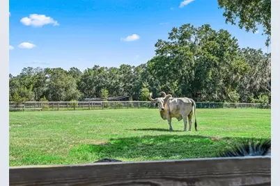 2195 NE 165th Street, Citra, FL 32113 - Photo 36