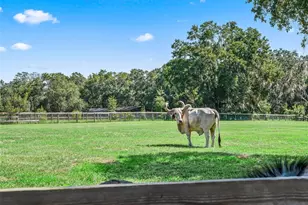 2195 NE 165th St, Citra, FL 32113 - Photo 36