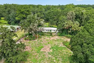 10195 NW 160th St, Reddick, FL 32686 - Photo 2