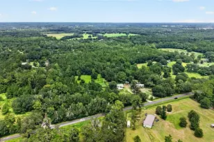 10195 NW 160th St, Reddick, FL 32686 - Photo 22
