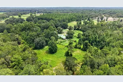 10195 NW 160th Street, Reddick, FL 32686 - Photo 4