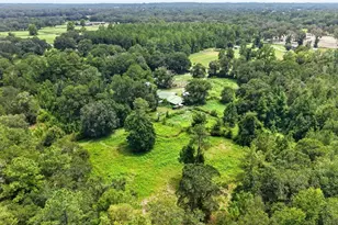 10195 NW 160th St, Reddick, FL 32686 - Photo 4