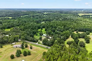 10195 NW 160th St, Reddick, FL 32686 - Photo 20