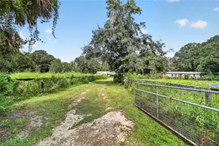 10195 NW 160th St, Reddick, FL 32686 - Photo 1