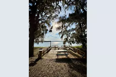 25225 NE 141st Lane NE, Salt Springs, FL 32134 - Photo 8