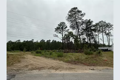 16914 SW 44th Circle, Ocala, FL 34473 - Photo 4