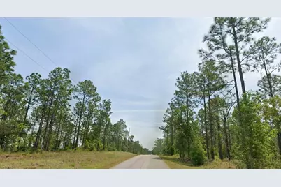23949 NW Falcon Avenue, Dunnellon, FL 34431 - Photo 4