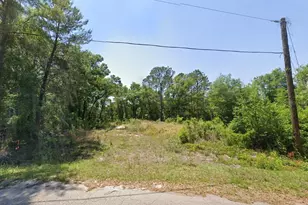 77 Bay Court Pass, Ocklawaha, FL 32179 - Photo 1