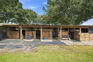 22241 NW 6th St, Dunnellon, FL 34431 - Photo 30